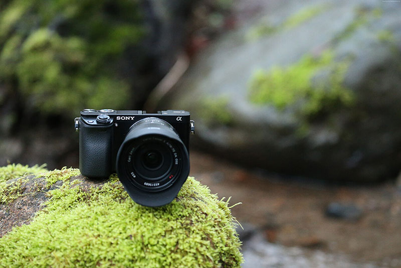 بهترین لنزهای دوربین برای 10 نوع عکاسی محبوب